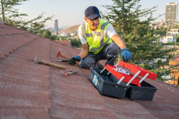 Best Same-Day Junk Removal Services  in Springfield, MA